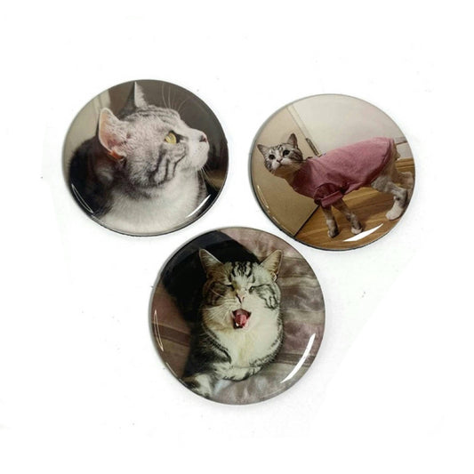 Circle magnet